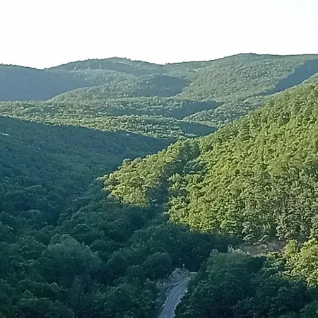 View * 埃格尔
